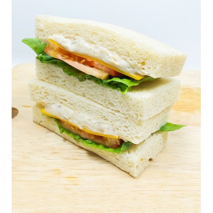 Cheezy Tuna Sandwich